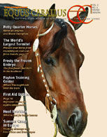 EC Magazine - stop in today for your free copy!