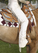 Western Show Saddle and tack